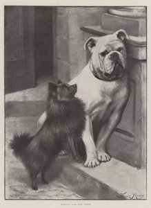 La Bella y la Bestia de Fannie Moody